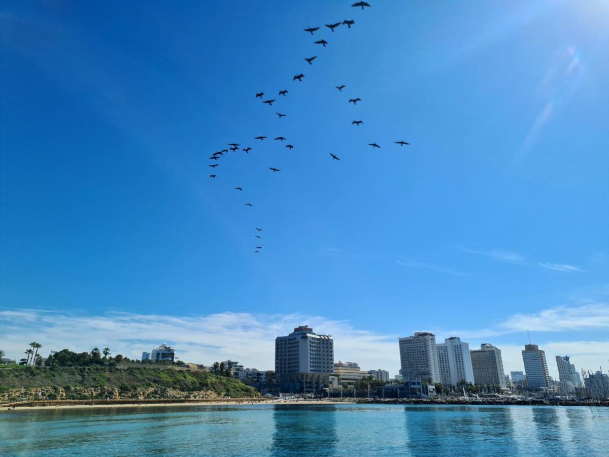 Apartment Amazing Sea View With Parking At Royal - By Tlv Tel Aviv